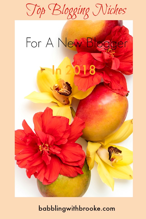 Great tips for helping you decide your new blogging niche! I created a comprehensive list of blog ideas from 2017 and put together a list for new bloggers in 2018! #buildingablog #blogger #newblogger #blogideas